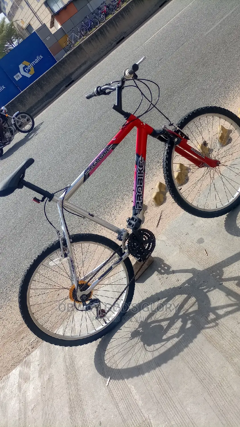 Red and Ash Mountain Bicycle