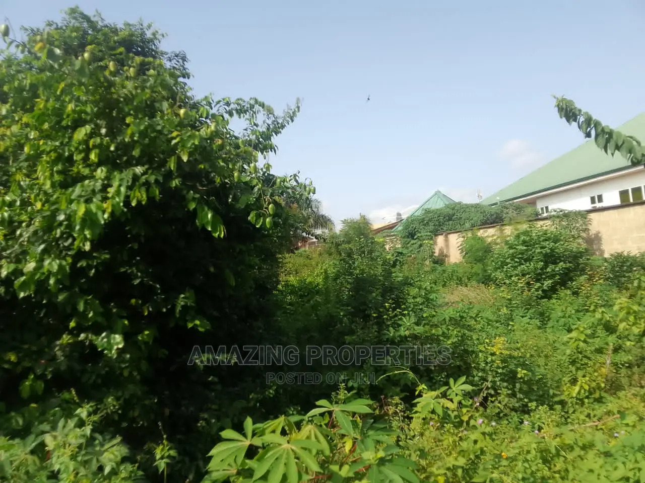 Over 1,000 Acres Titled Land Extended to Dodowa