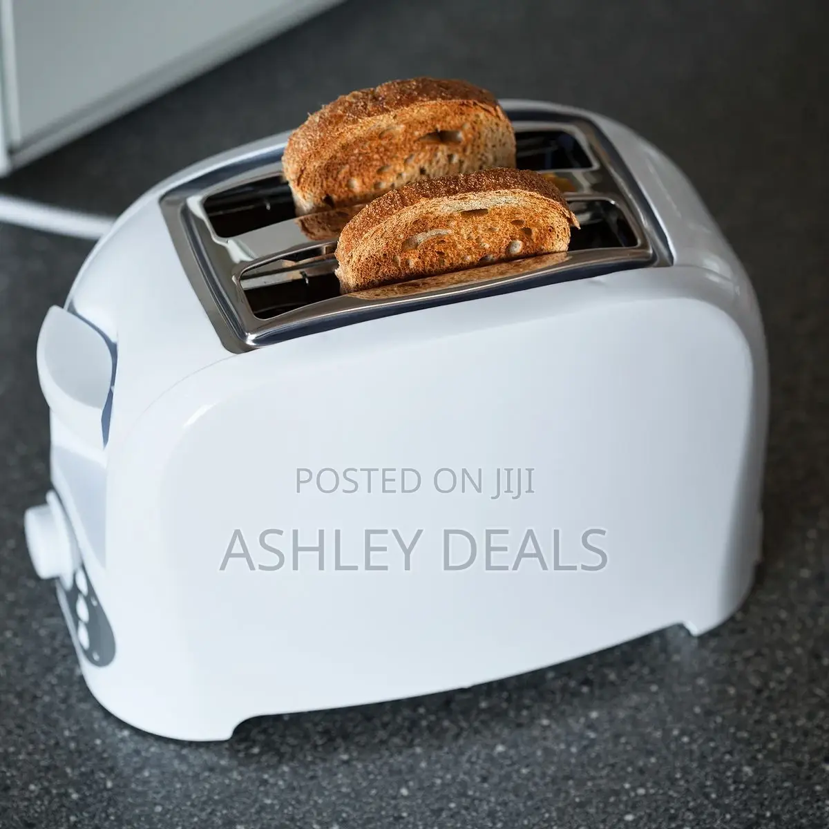 Professional Toaster