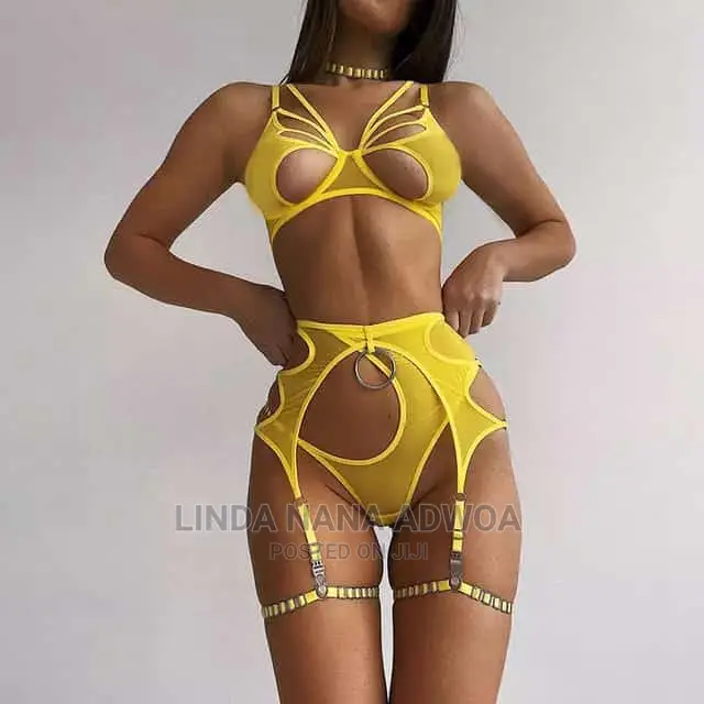 Hot and Sexy Garter Lingerie Set