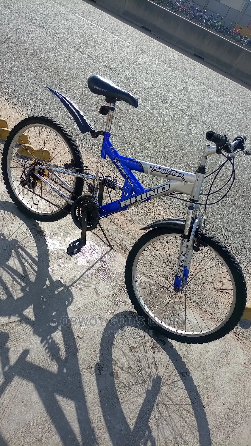 Ash Blue Spring Bike