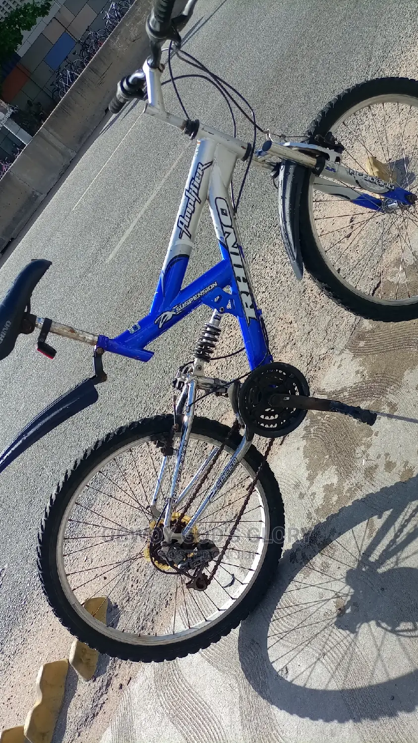 Ash Blue Spring Bike