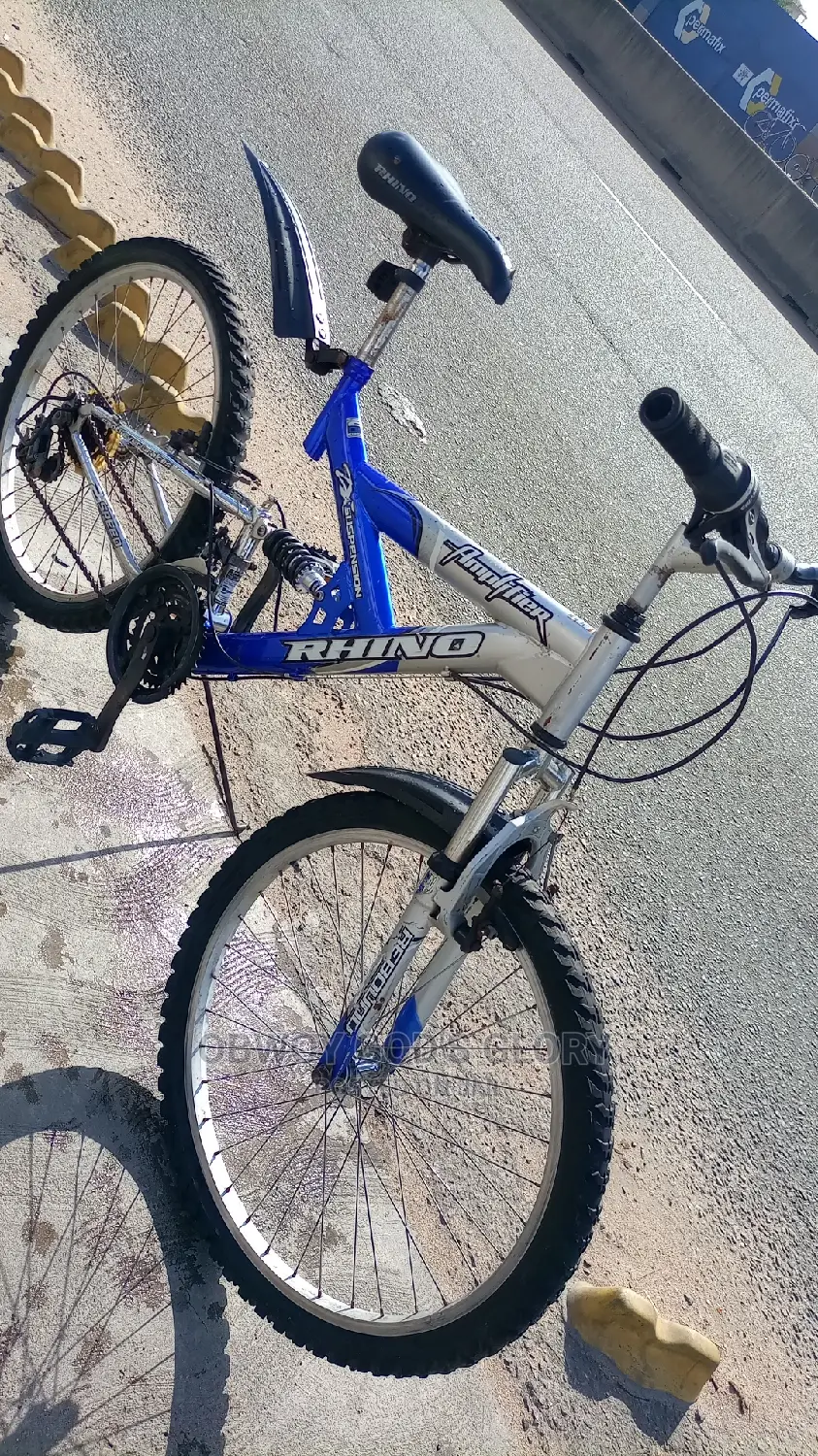 Ash Blue Spring Bike