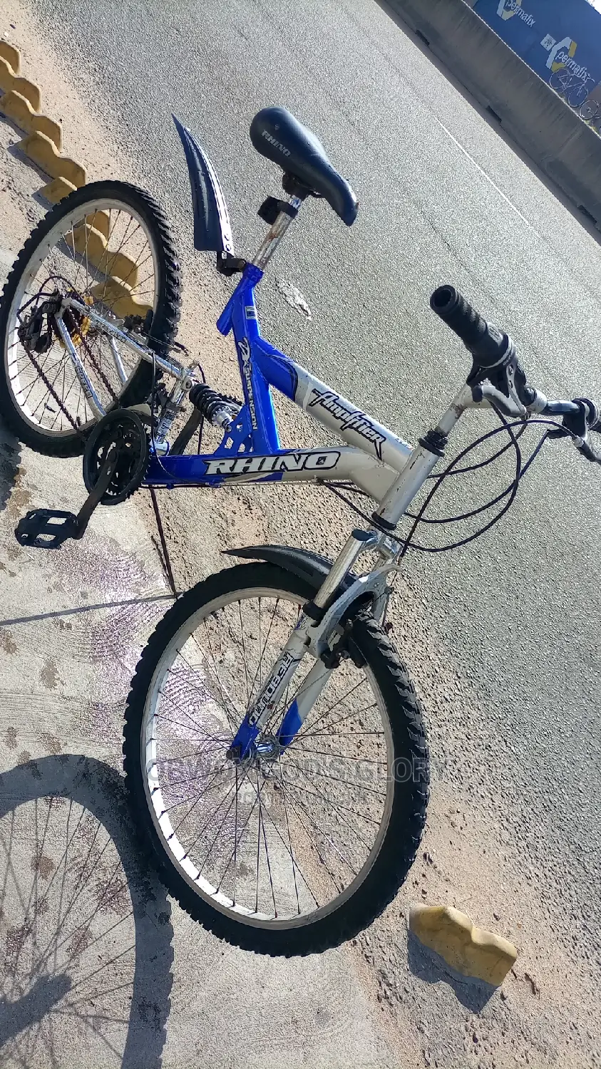 Ash Blue Spring Bike
