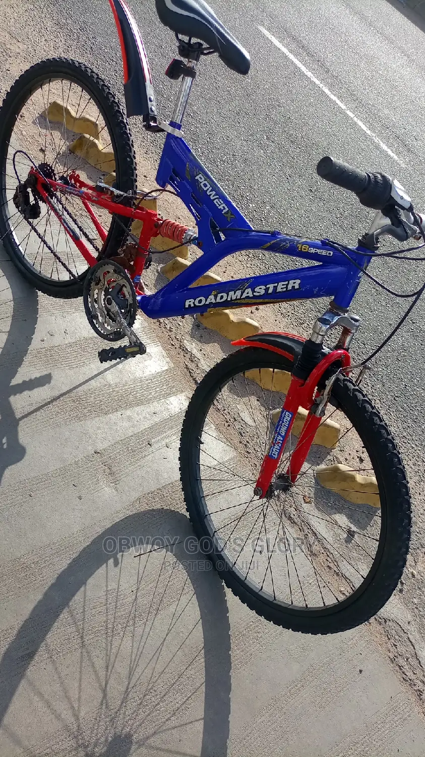 My Blue  Bounce Bike