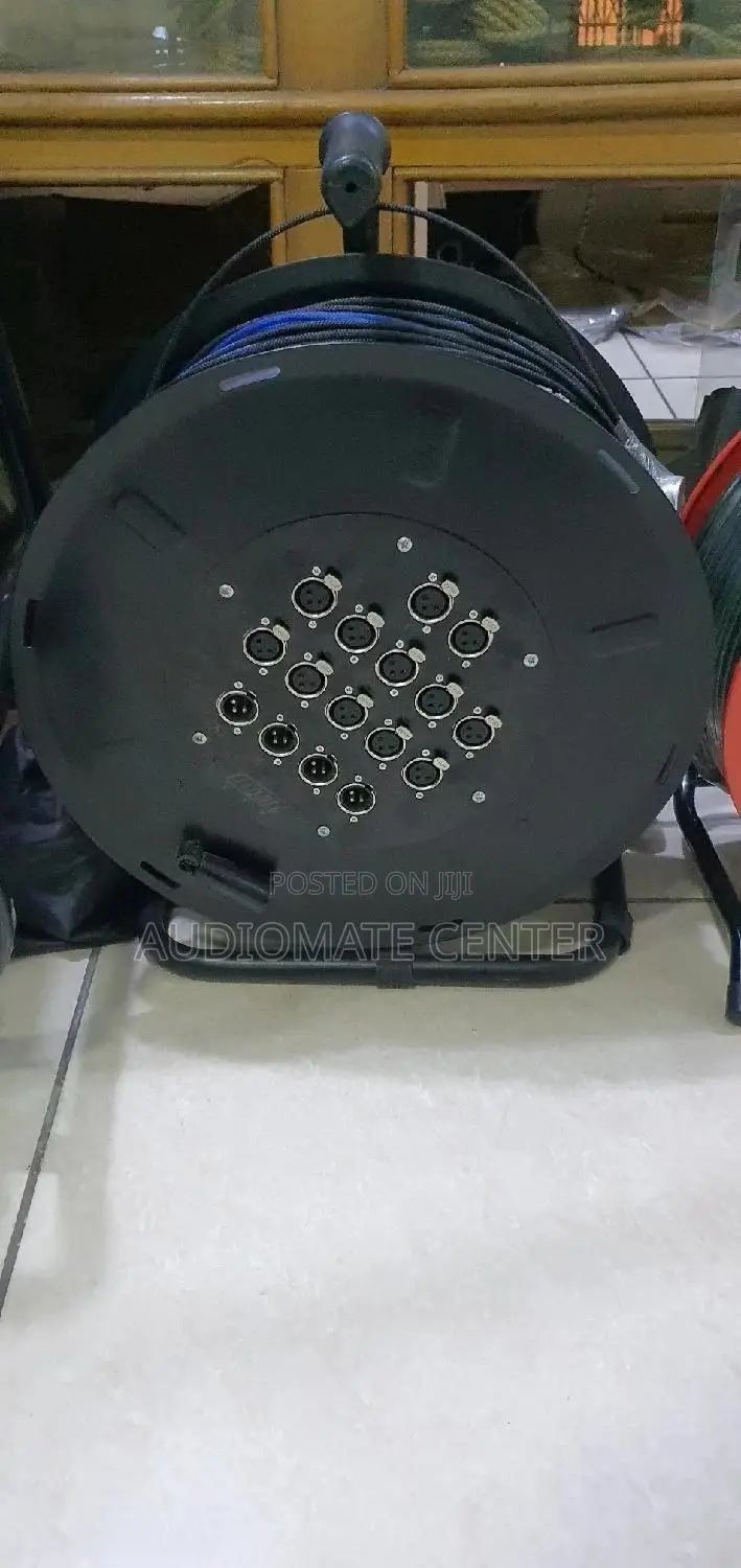 12 Channel Audio Link