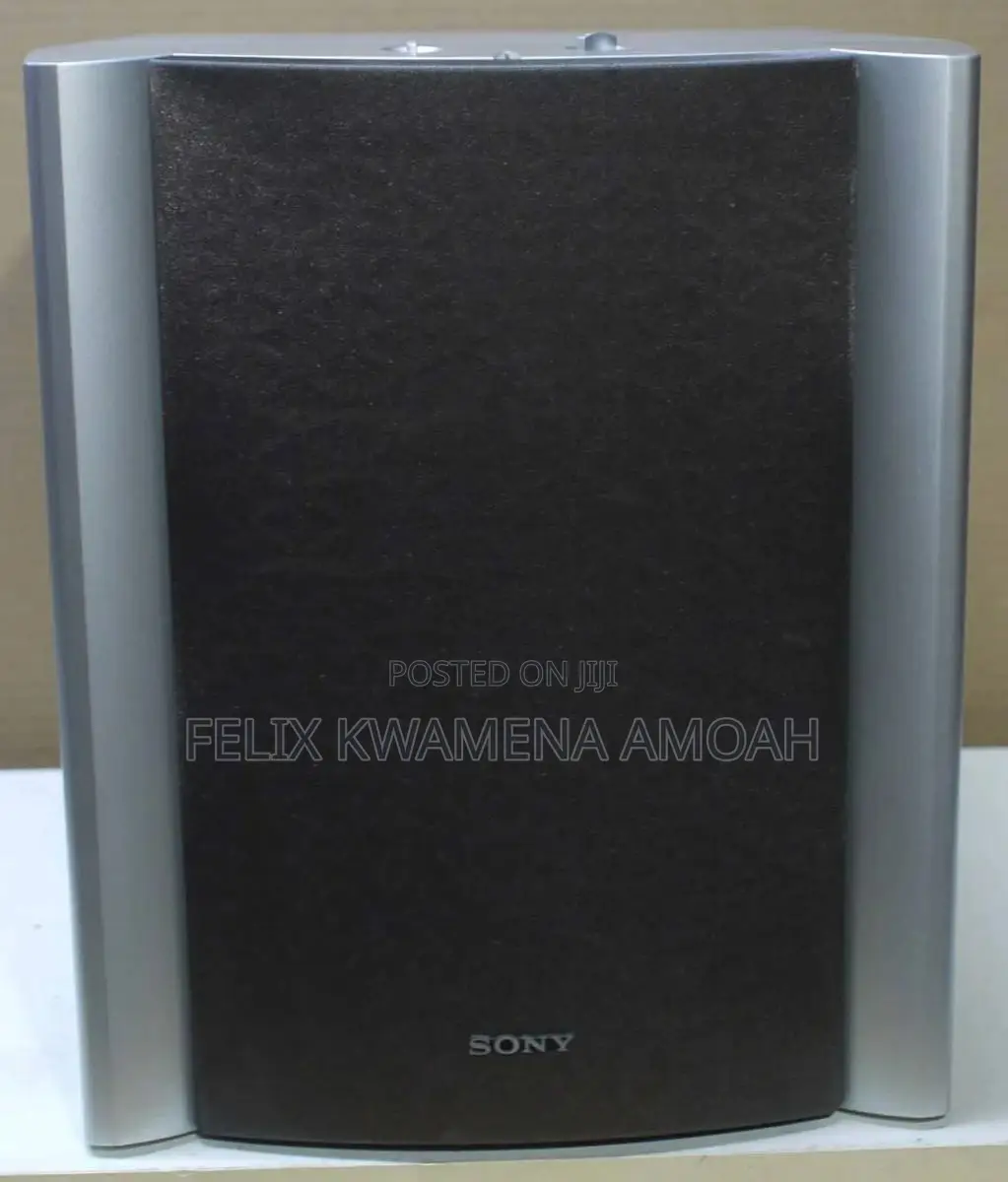 Sony Heavy Active Subwoofer