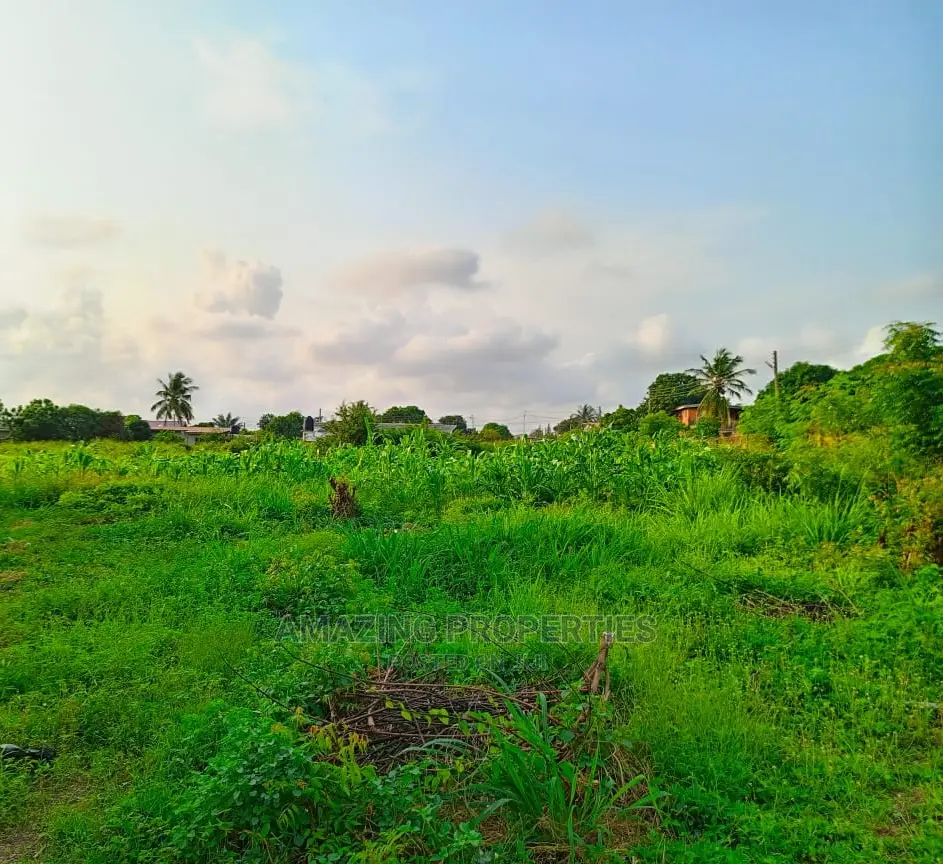 1000 Acres of Titled Land at Oyibi