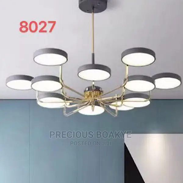 Pendent/ Chandelier Lights