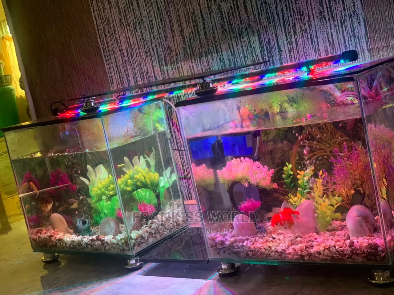 Double TV Stand Aquarium