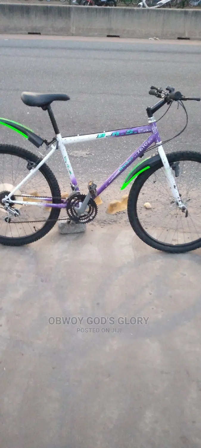 Love White Mountain Bike