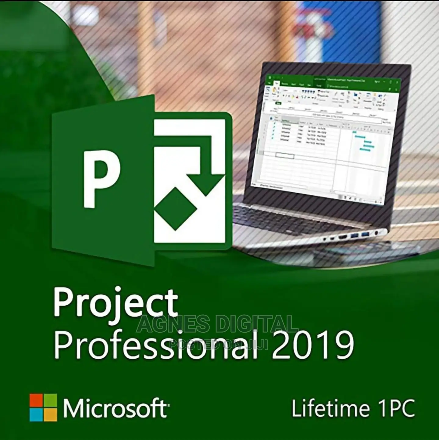 Microsoft Project Professional 2019 Key 1PC (Windows Only)