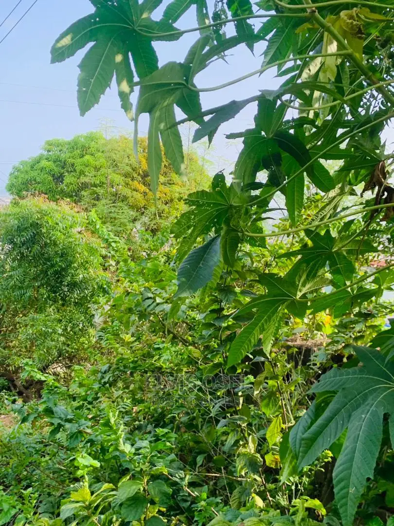 One and Half Plot for Sale Around Gbawe Top Base Documents