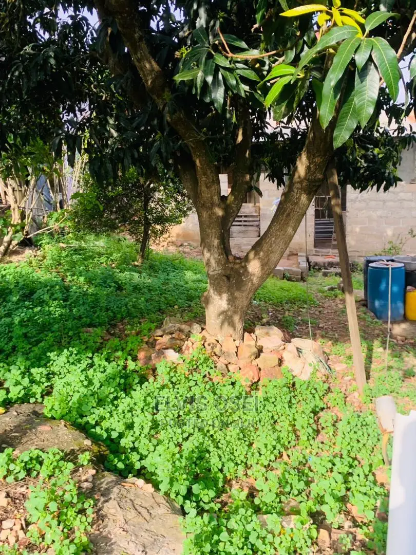 One and Half Plot for Sale Around Gbawe Top Base Documents
