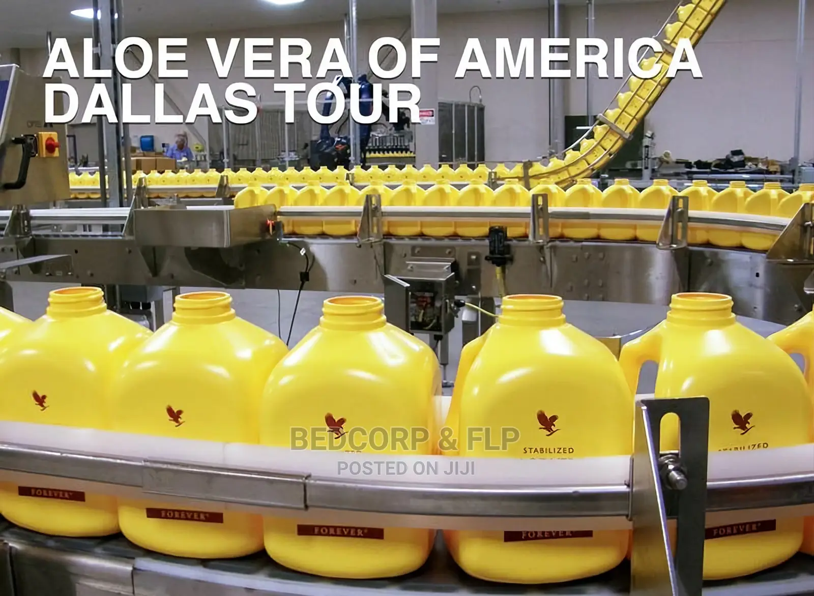 Aloe Vera of America
