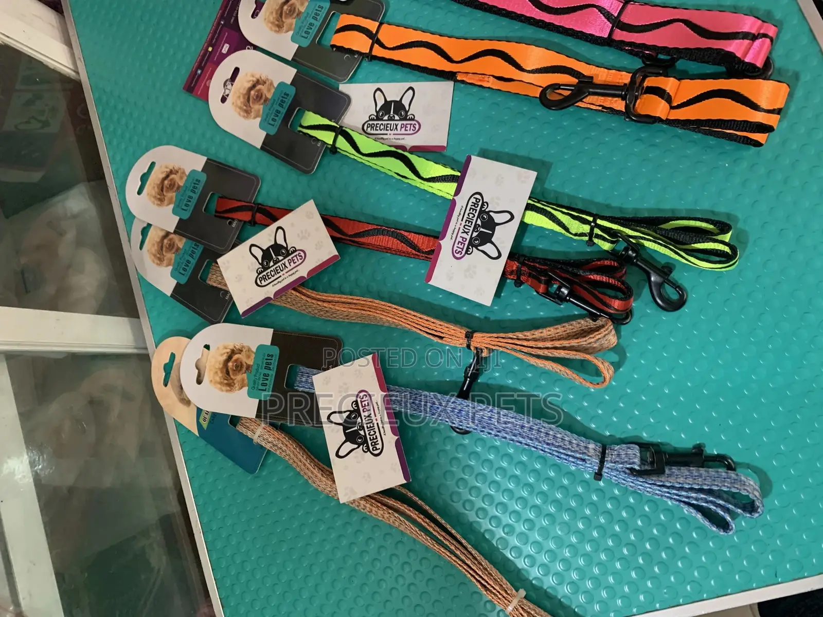 Multicolored Leash for Dogs and Cats