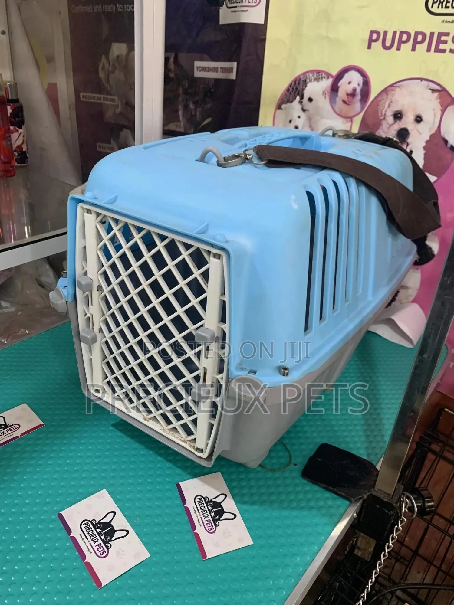 Plastic Cat and Dog Crate