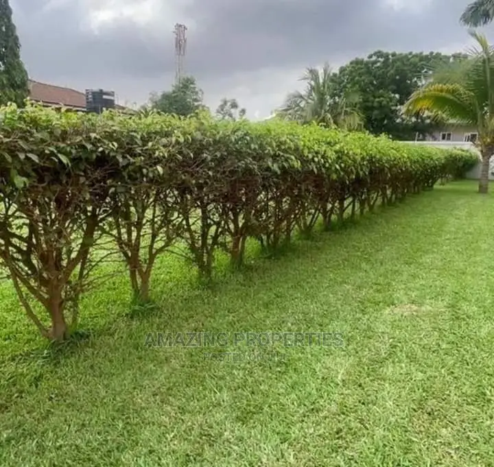 Registered/Titled Plot Available for Sale