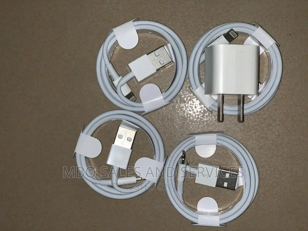 Original 5W iPhone Charger
