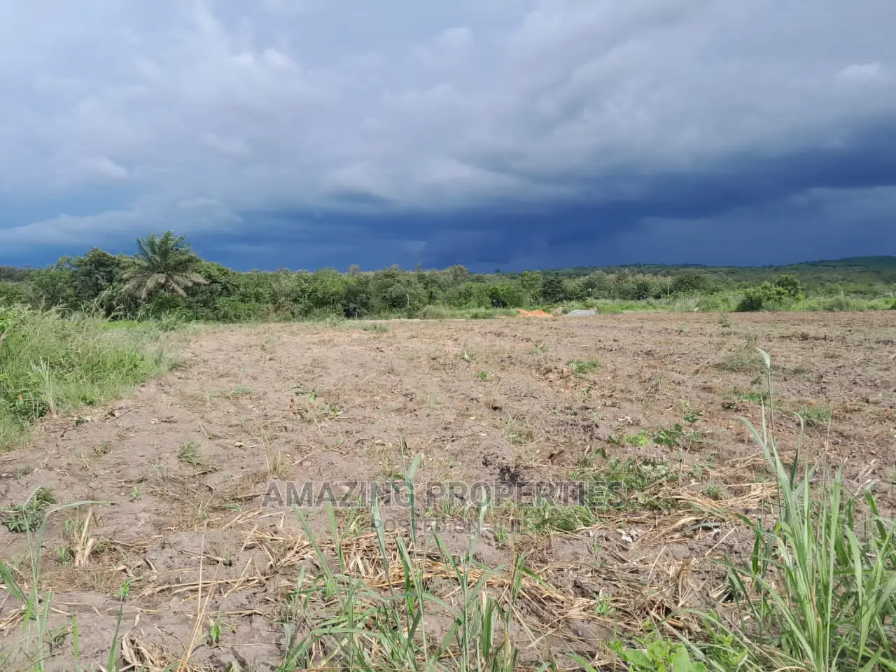 20,000+ Acres Farm /Agricultural Land Adaklu, Volta Region