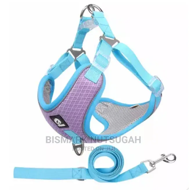 Dog Chain for Sale