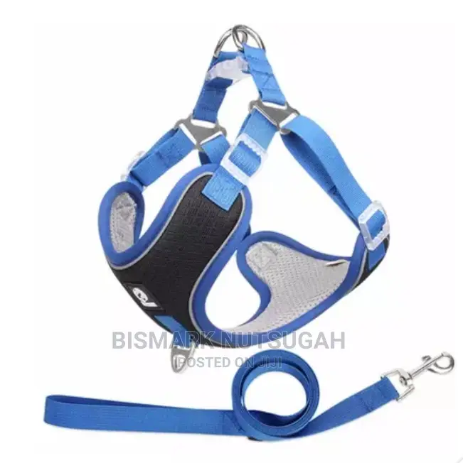 Dog Chain for Sale