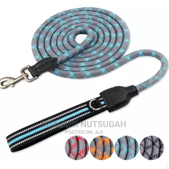 Dogs Chain for Sale