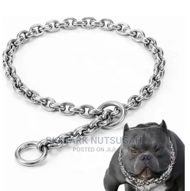 Dogs Chain for Sale