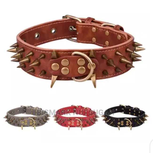 Dogs Chain for Sale