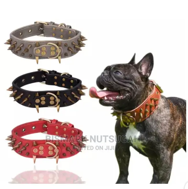 Dogs Chain for Sale