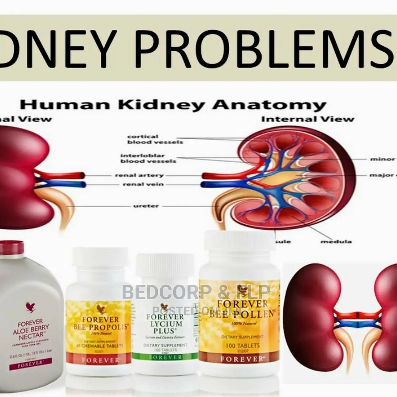 Forever Kidney Health Pack