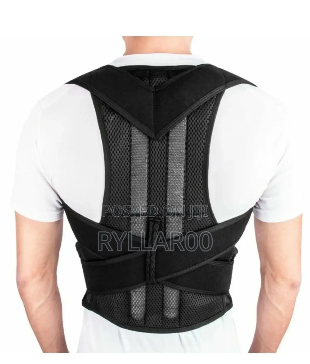 Back Support