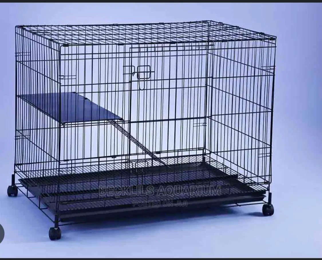 Indoor and Outdoor Cat Cages