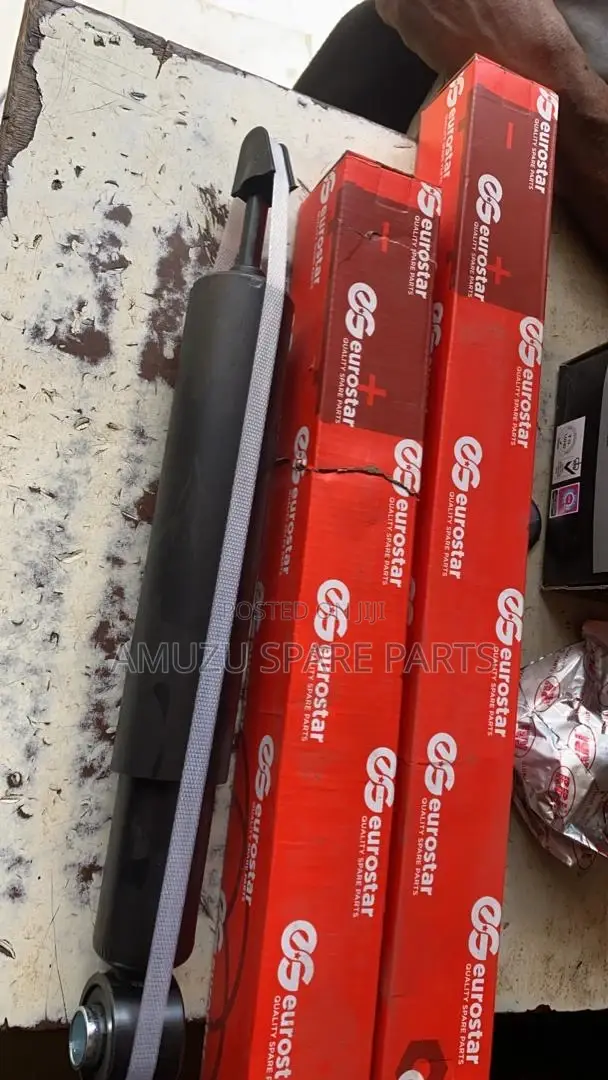 F J Crusier Back Shocks