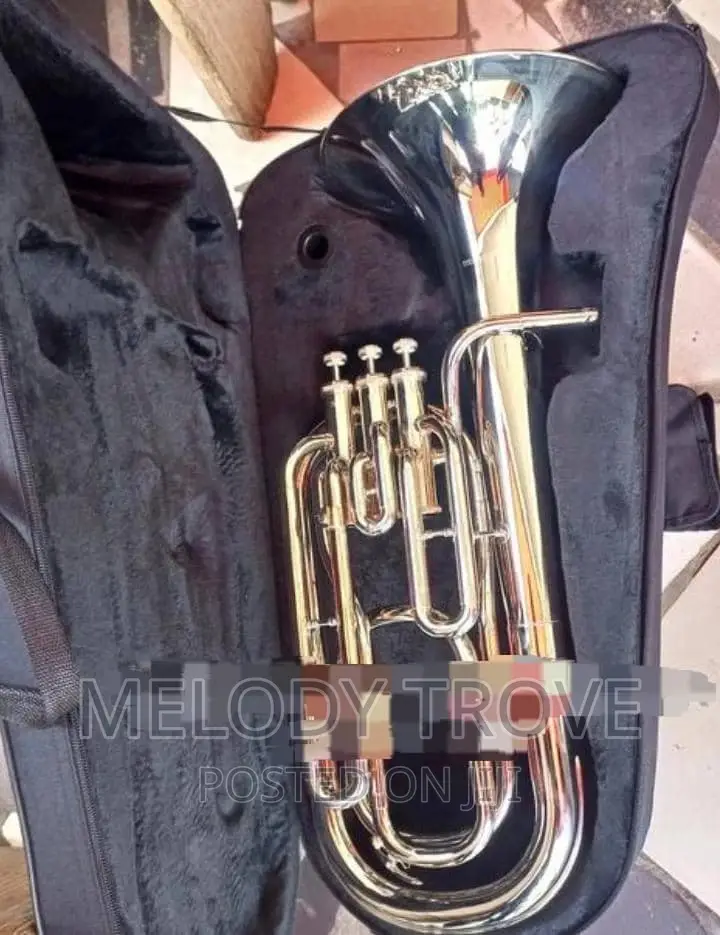 Baritone/Piston Valve Style Silver