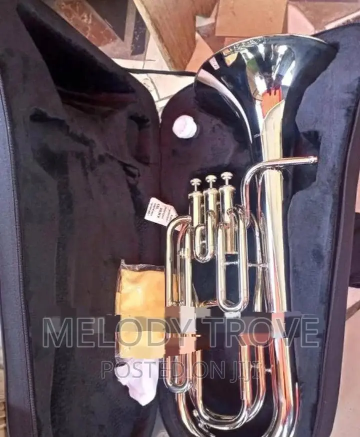 Baritone/Piston Valve Style Silver