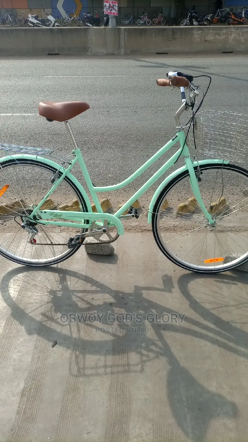 Busanga Carrier Bike