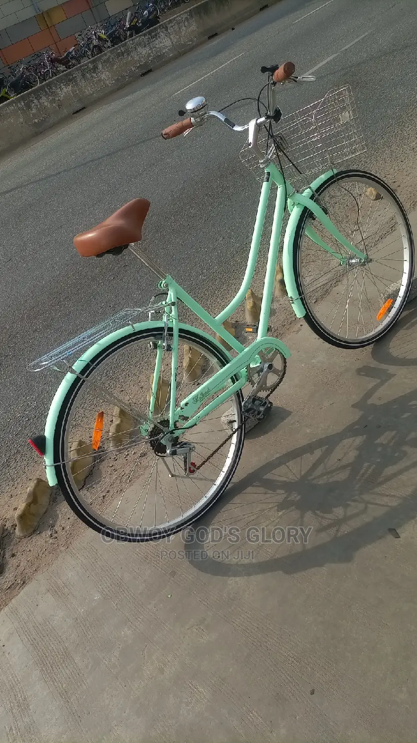 Busanga Carrier Bike