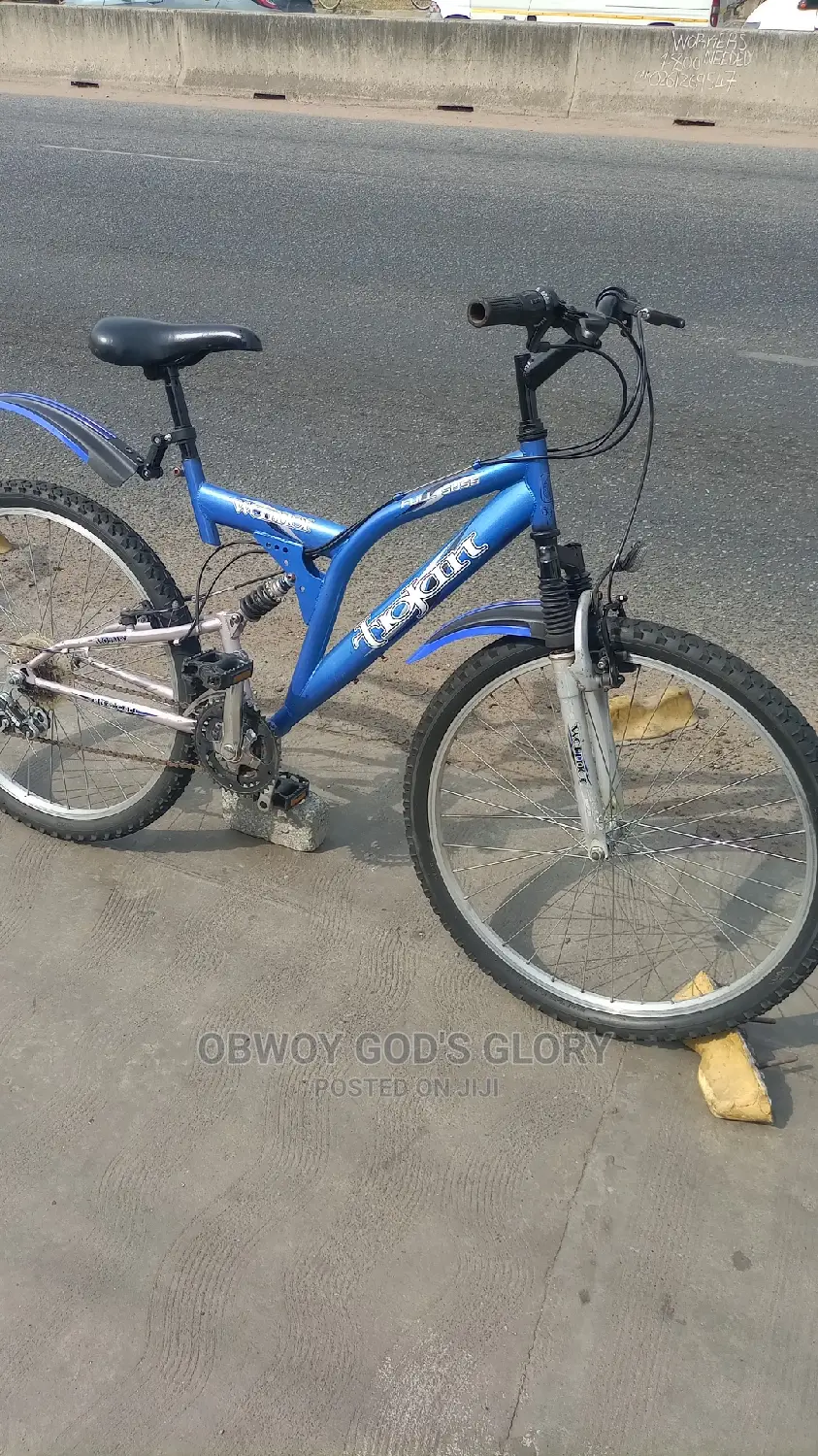 Blue Sports Spring Bike