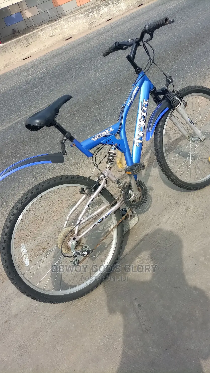Blue Sports Spring Bike