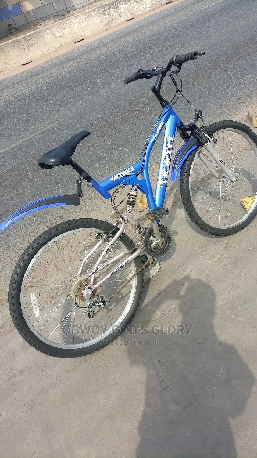 Blue Sports Spring Bike