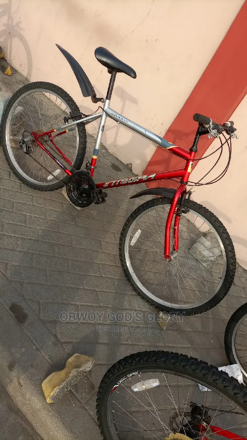 Mountain Red Bike