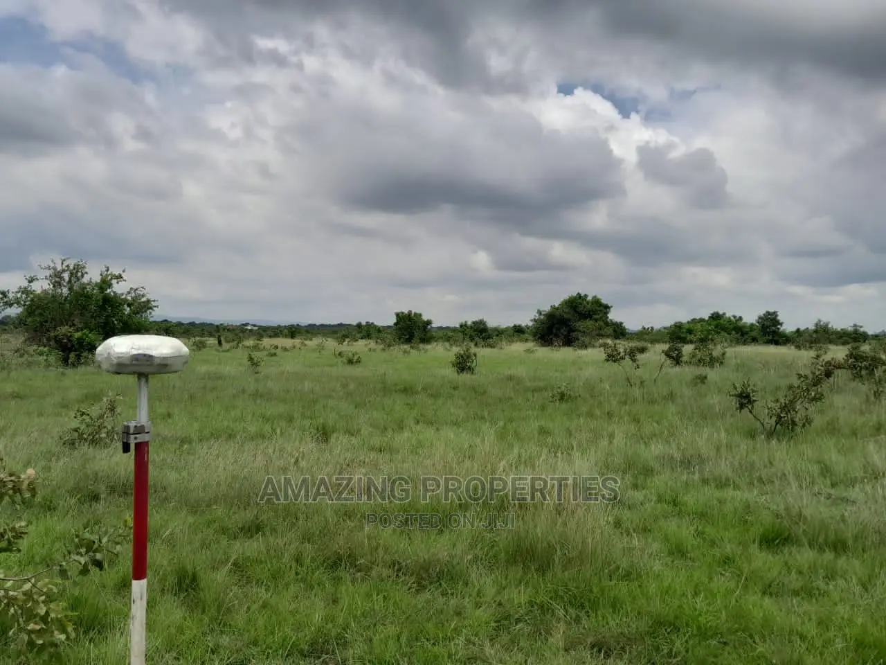 31 Acres of Land Along Borteyman Road