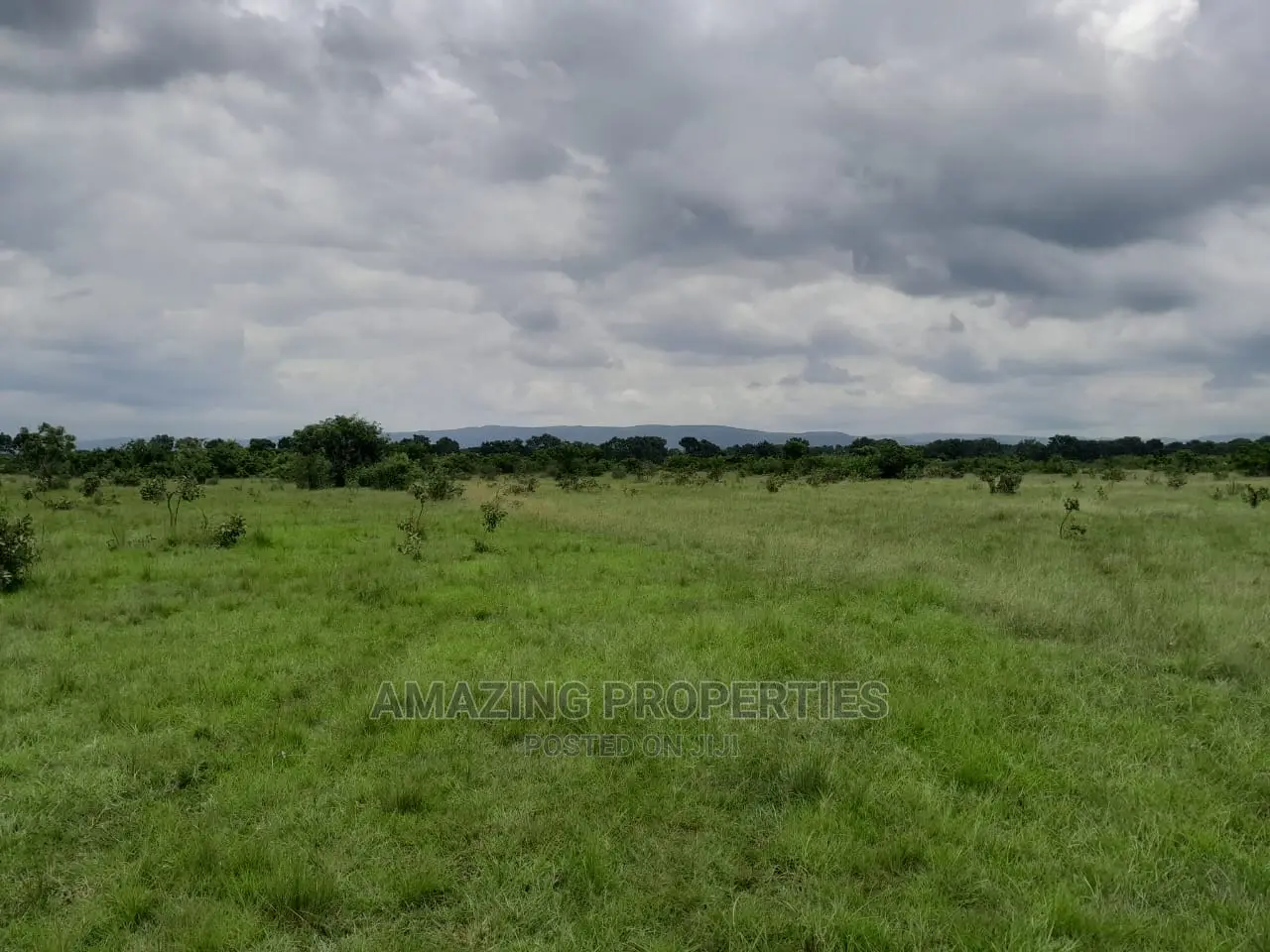 31 Acres of Land Along Borteyman Road
