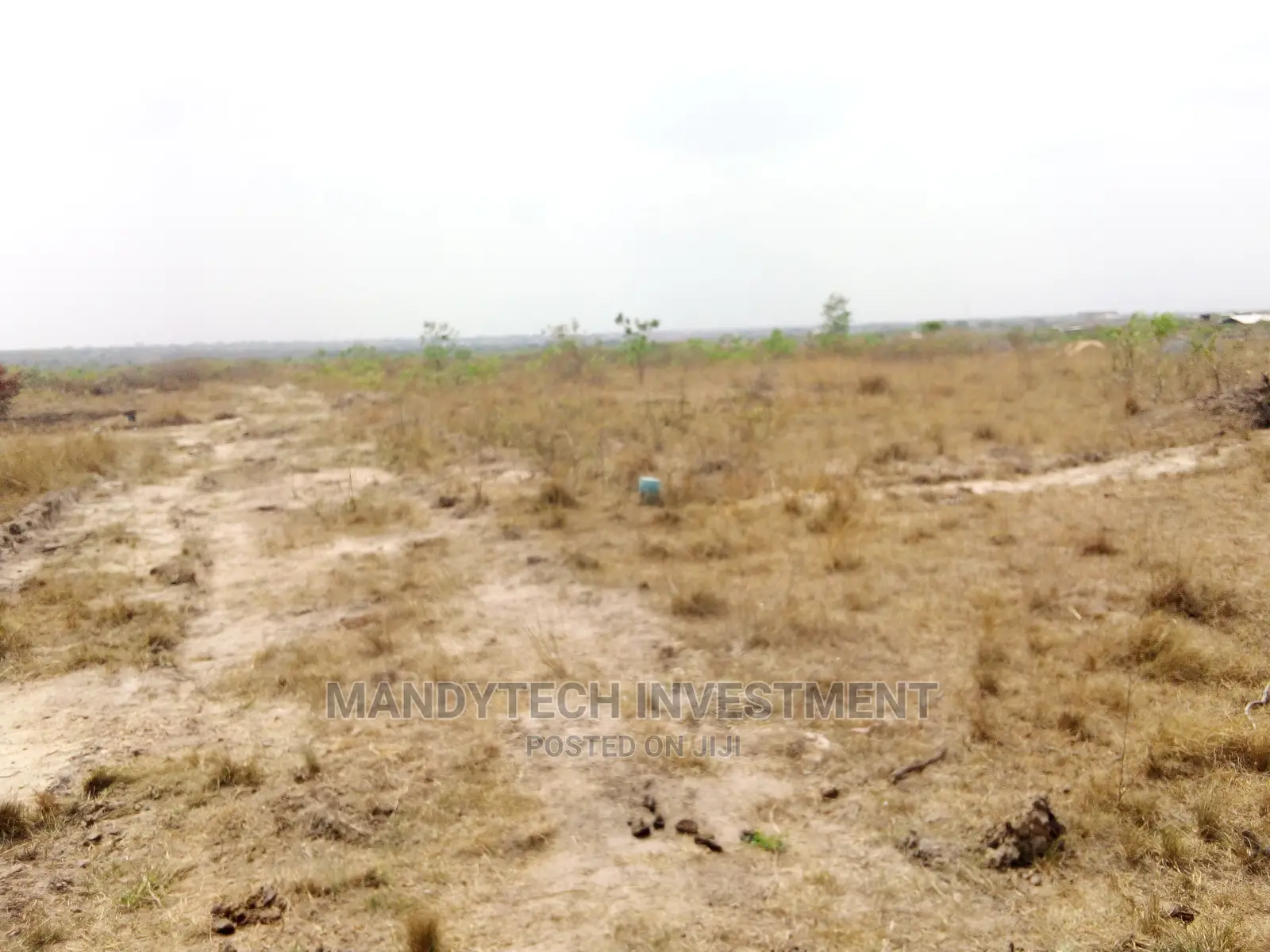 10 Plots at Appolonia