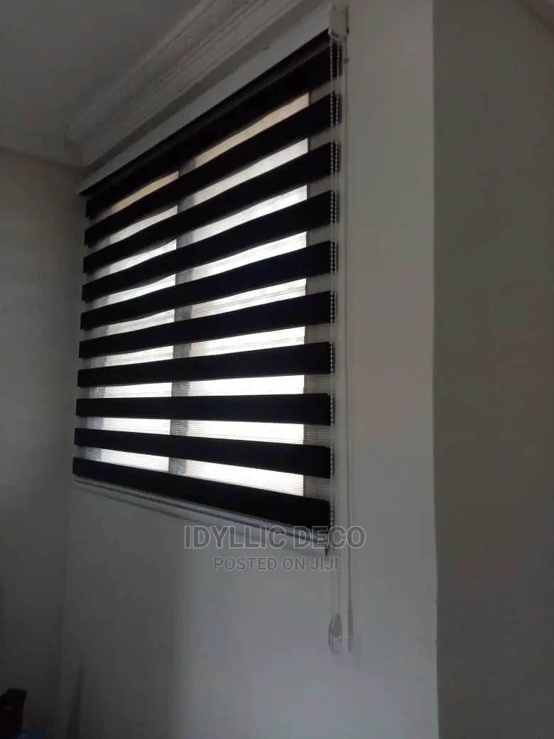 Empire Zebra Blinds Curtains for Refreshing Atmosphere