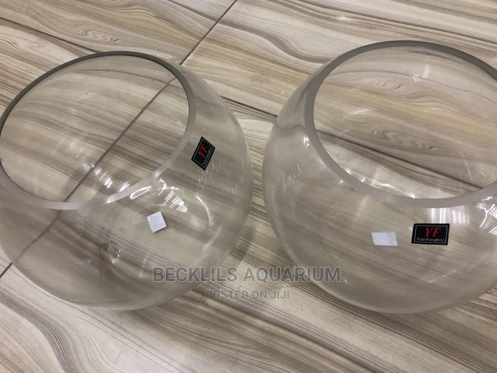 Large Fish Bowls