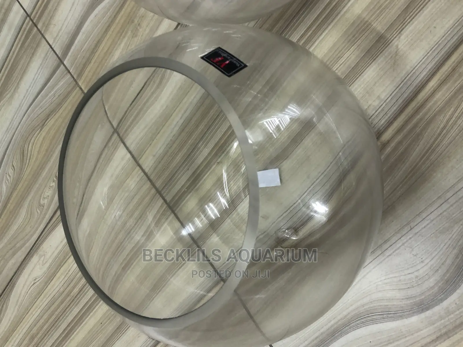 Large Fish Bowls