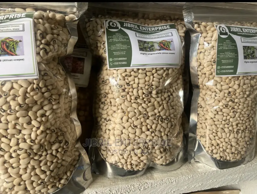 Ghanaian Black Eye Cowpea Seeds for Planting