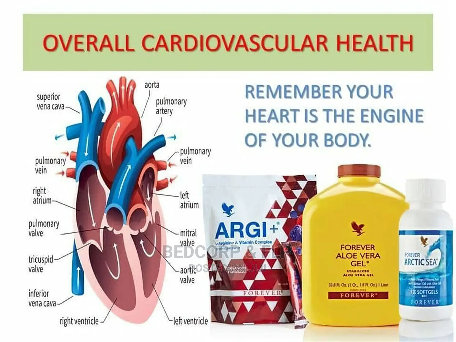 Forever Products for Cardio and Blood Pressure